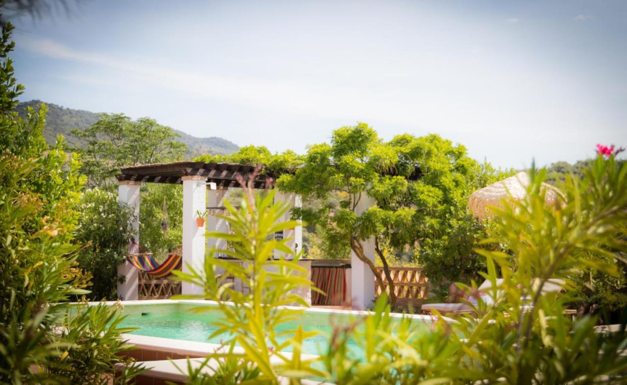 ホテル Hacienda El Tarajal プリエゴ・デ・コルドバ エクステリア 写真