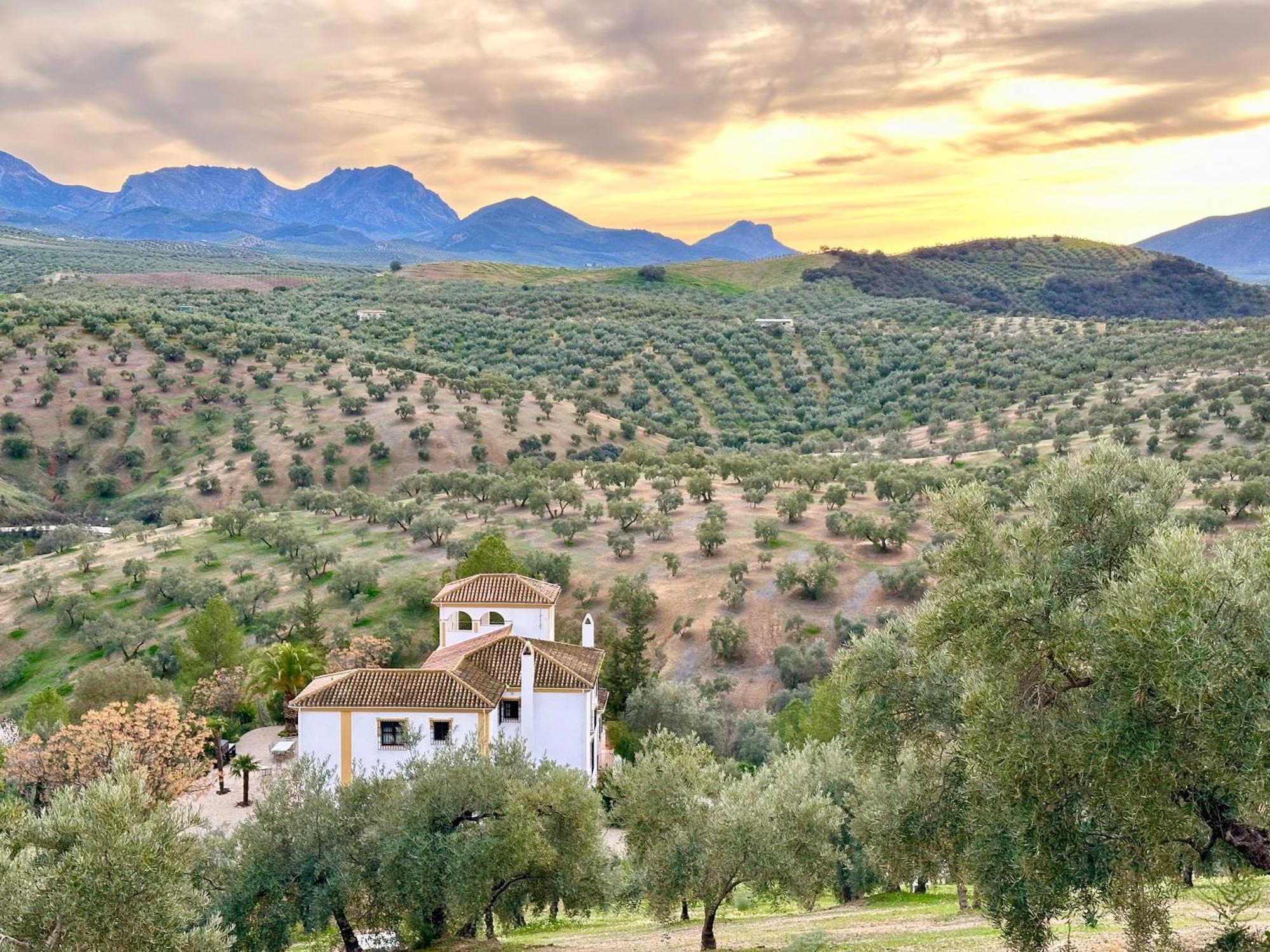 ホテル Hacienda El Tarajal プリエゴ・デ・コルドバ エクステリア 写真