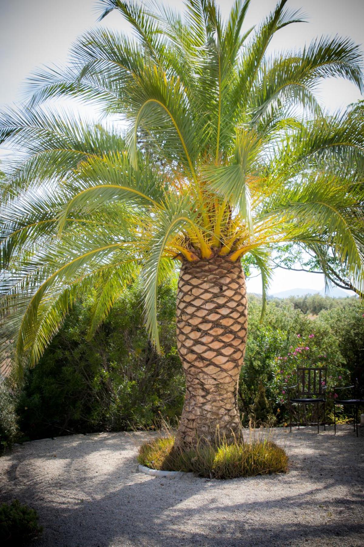 ホテル Hacienda El Tarajal プリエゴ・デ・コルドバ エクステリア 写真
