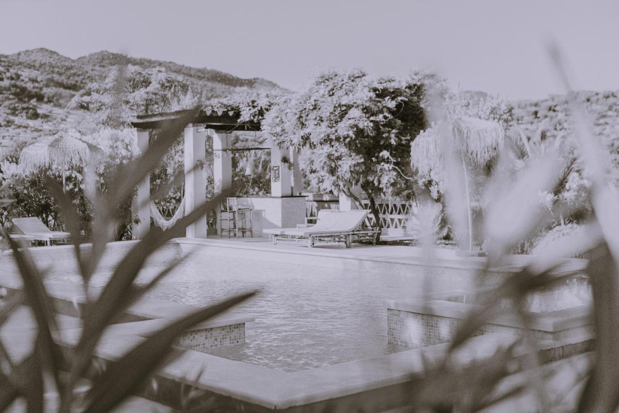 ホテル Hacienda El Tarajal プリエゴ・デ・コルドバ エクステリア 写真